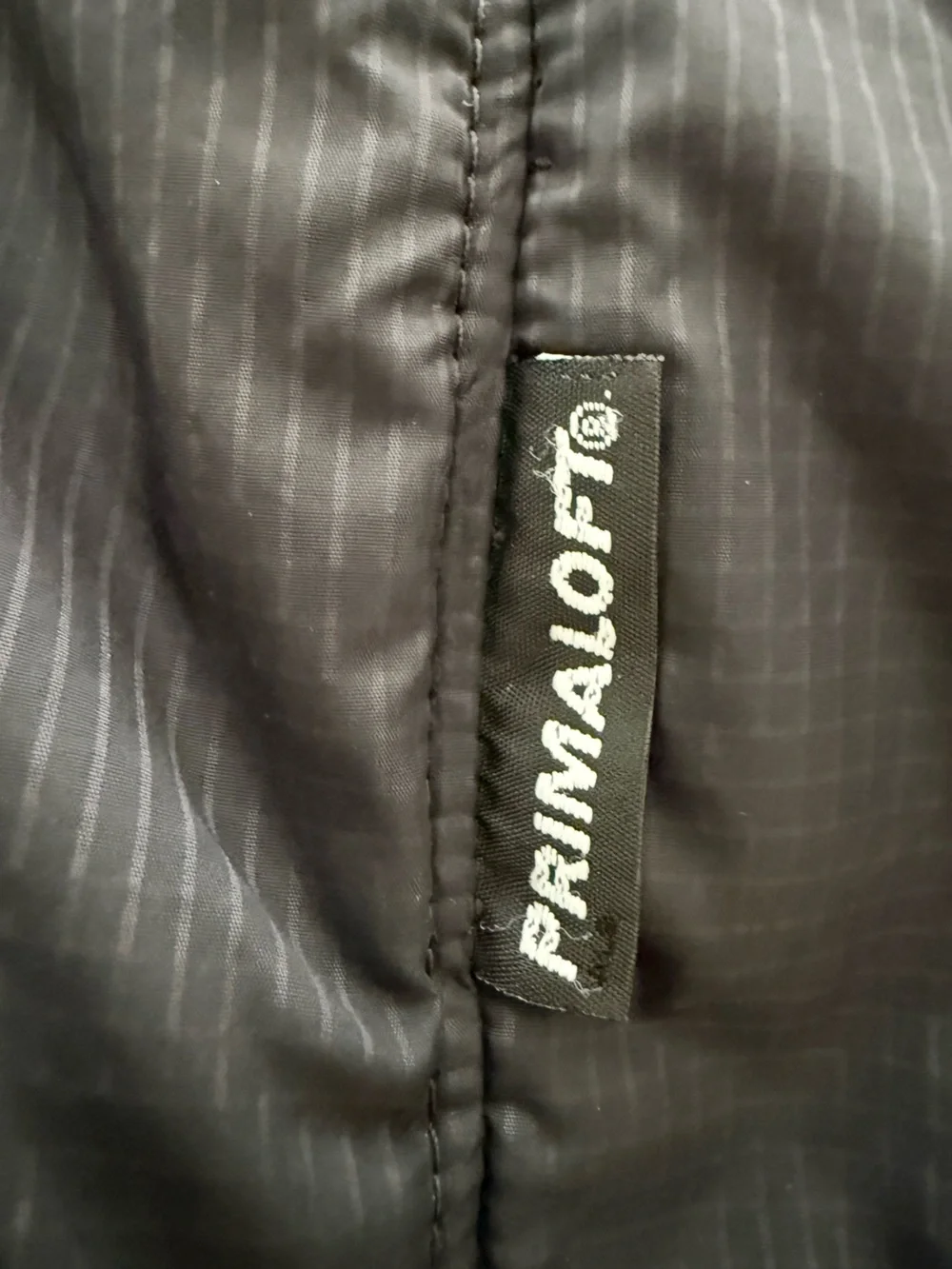 The North Face Men's Primaloft Lightweight Vest